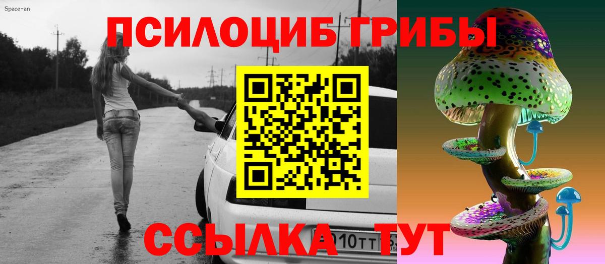 Симферополь  Псилоцибиновые грибы ЛСД  Вход с VPN  Псилоцибиновые грибы Psilocybe 